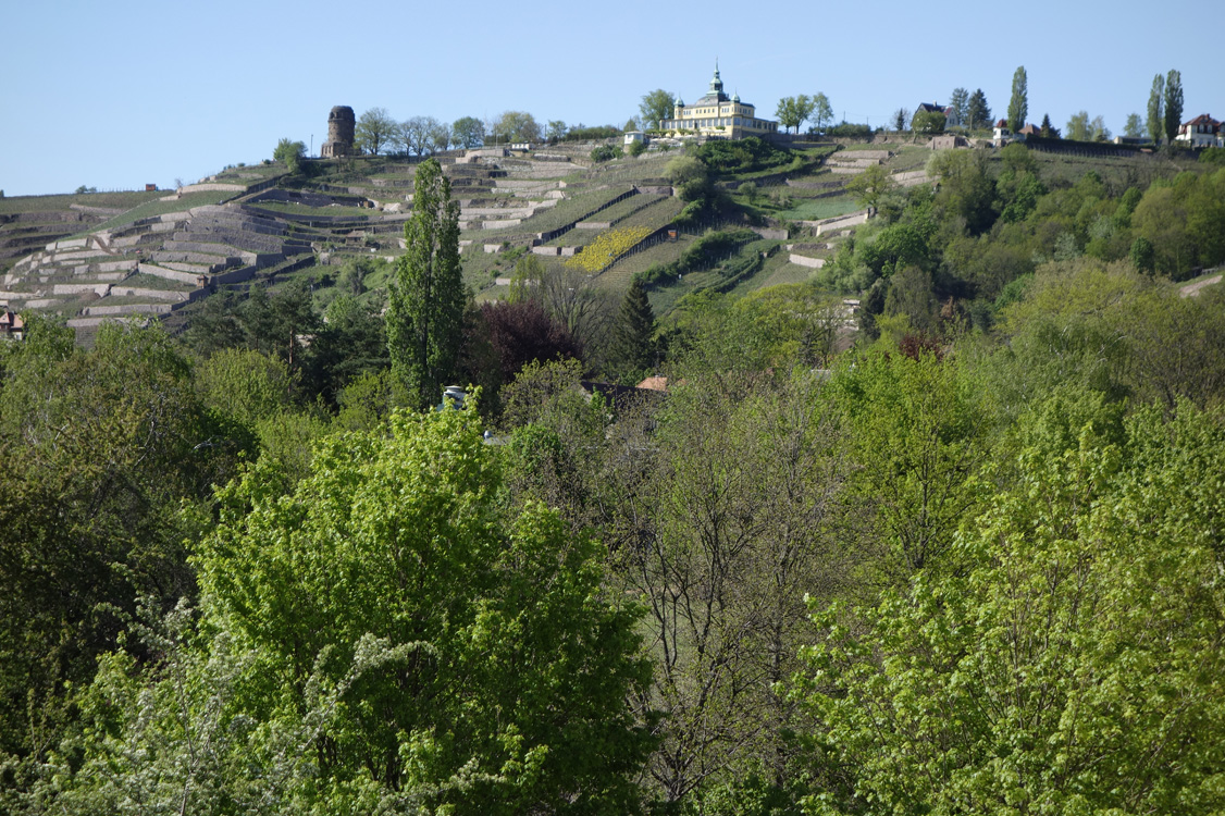 Radebeul.001