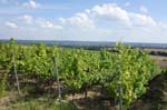 Ruedesheim13